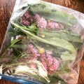 200g Tortoise Food - Handpicked Forage