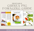 Guinea Pig Foraging Guide