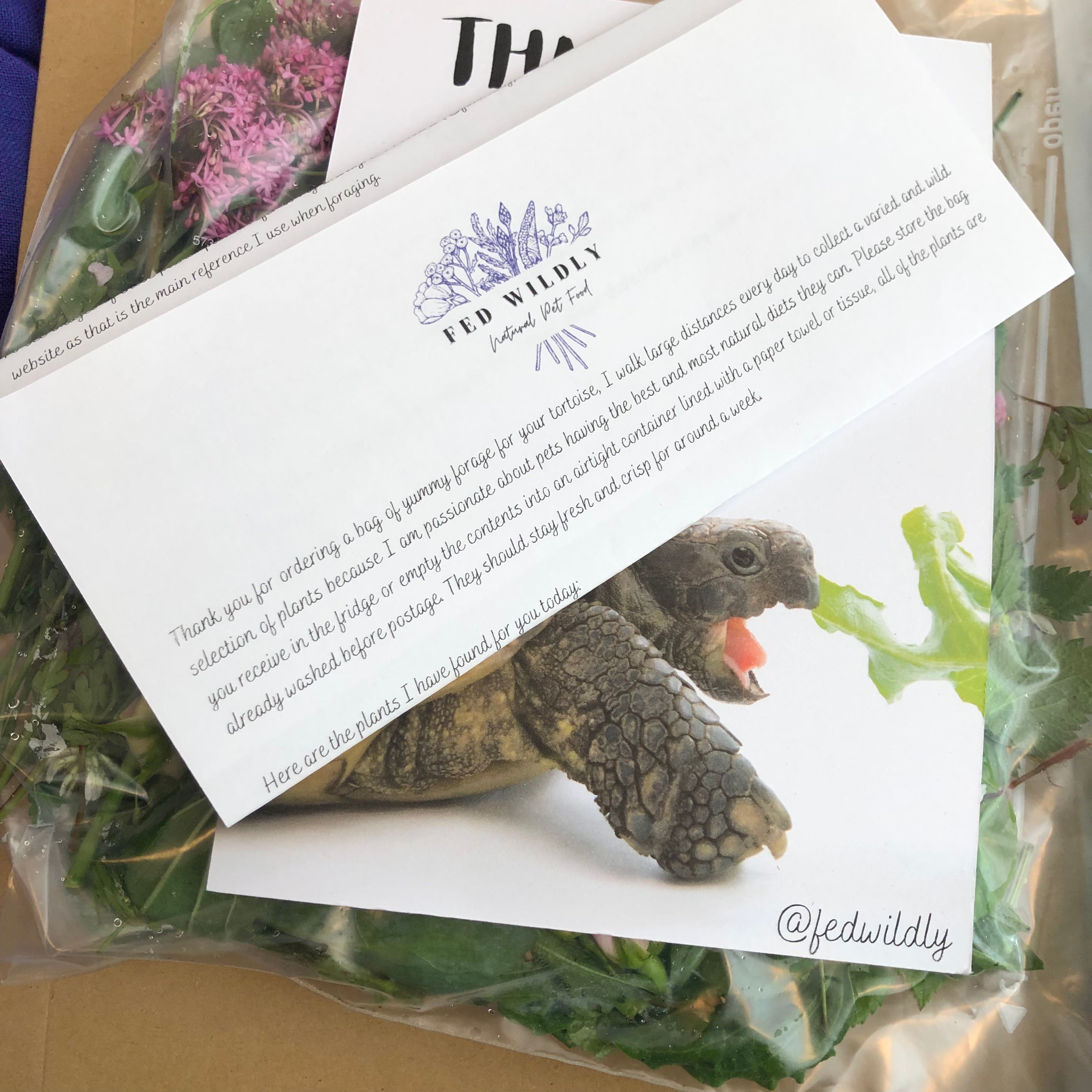 400g Tortoise Food - Handpicked Forage